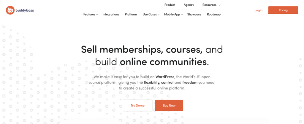 The BuddyBoss website.