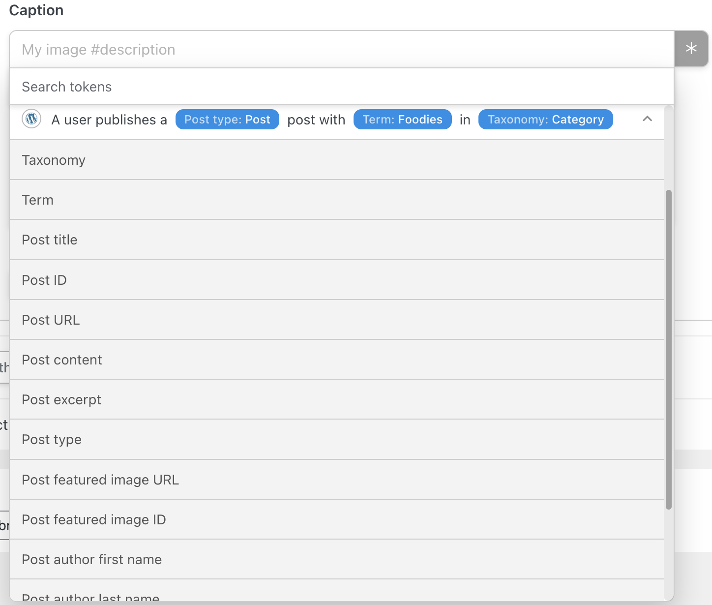 Automator Action Instagram Caption Field