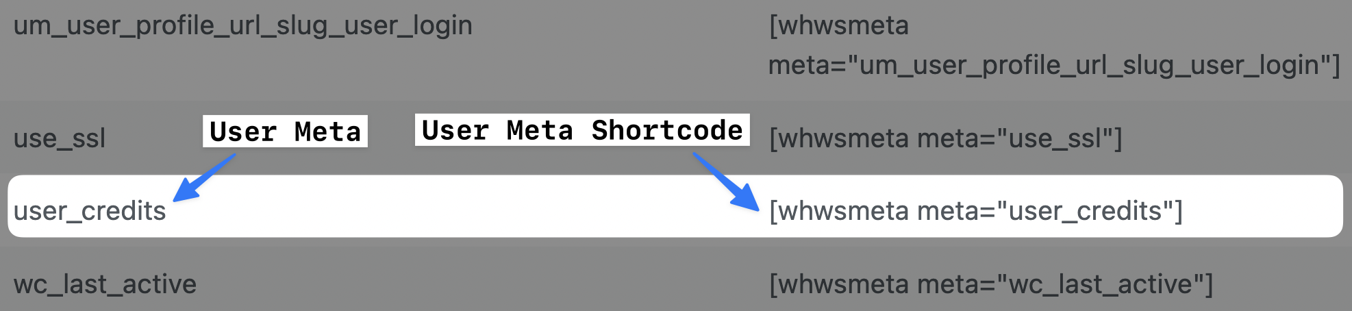 WHWS Display User Meta Shortcode Table Array