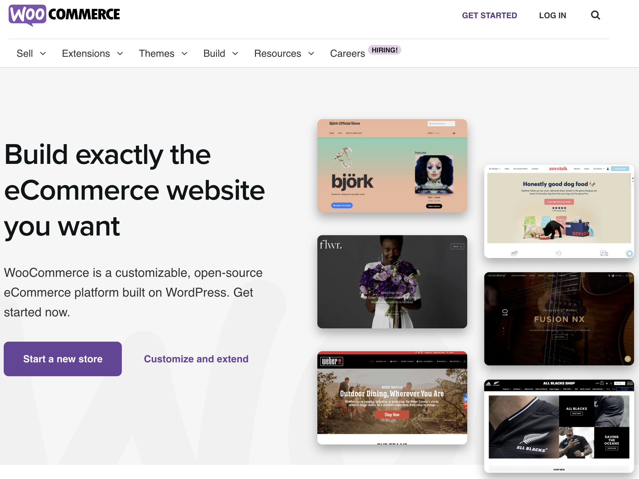 WooCommerce Homepage