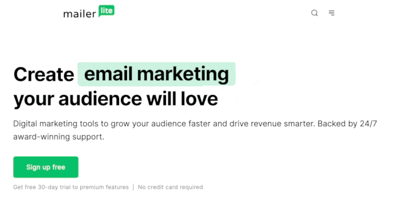 The Best WordPress CRM Platforms for Any Business — MailerLite Homepage