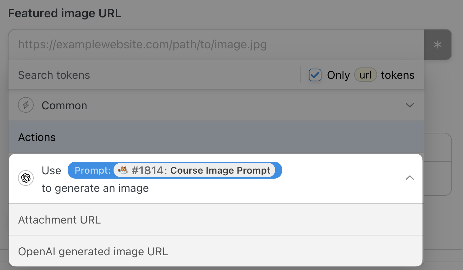 Automator OpenAI integration image url tokens