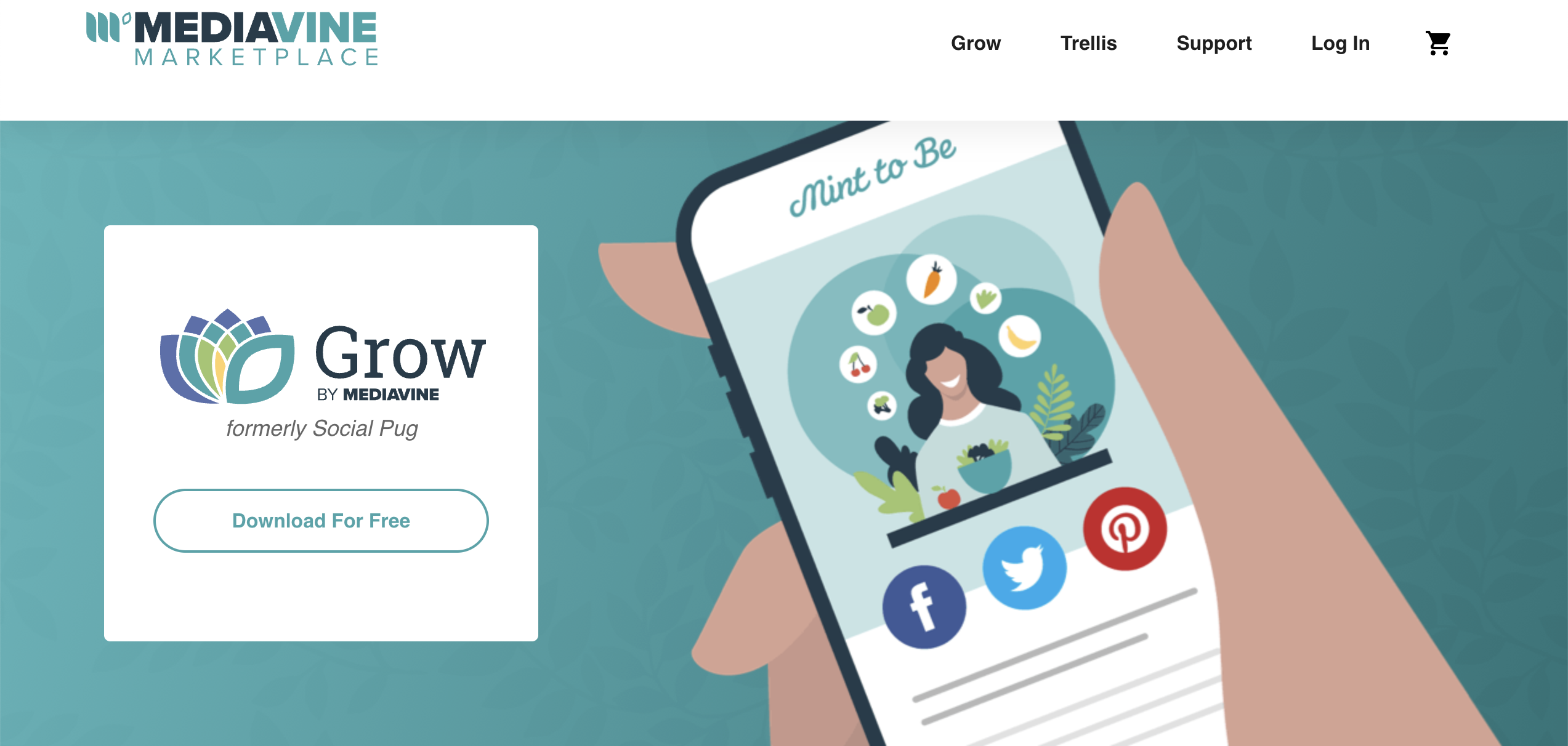The Best Social Media Plugins for WordPress Grow Social Homepage
