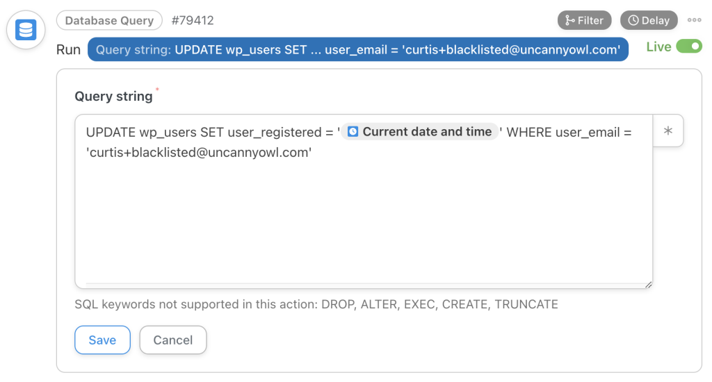 Run an SQL Query